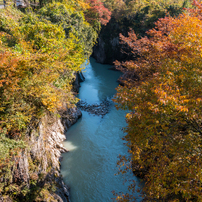 黄門橋より３（手取峡谷2015年秋より）