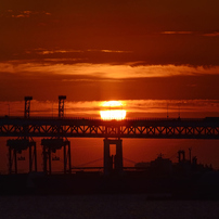 Yokohama Morning Glow....