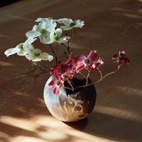 好きです！・・花水木