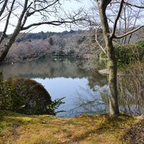 京都旅行７
