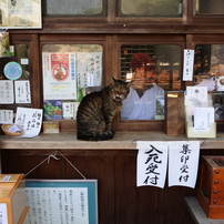 京都旅行９