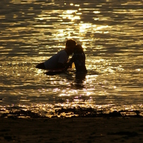 IMGP0076