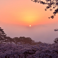 霧の夜明け