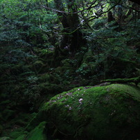 屋久島と種子島