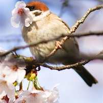 Spring Photo Gallery