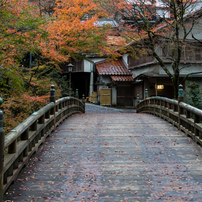 こおろぎ橋と無限庵