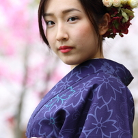 エリカの春　桜日和