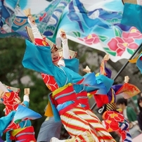 京都さくらよさこい①いなんさん