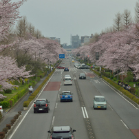 大学通り10
