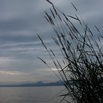 OLYMPUS(オリンパス)のデジタルカメラFE5010,X915 で撮影した写真(画像