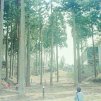 KONICA IIB (F2.8) コニカ 2B 実写作例あり Konica ⅡB-mの試し撮り - yz-paradiseのブログ
