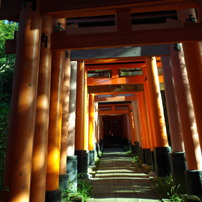 PENTAX(ペンタックス)のデジタルカメラOptio VS20 で撮影した写真(画像