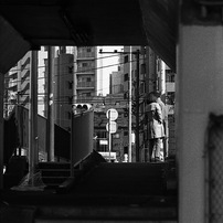 ＜作例あり＞Ai-s NIKKOR 135mm F2.8 作例あり＞Ai-s NIKKOR 135mm F2.8 Ai AF DC-Nikkor 135mm f/2Dで撮影