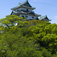 新緑の和歌山城