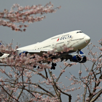 「さくら」 DELTA 747-400 N670US