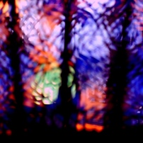 *- color -*