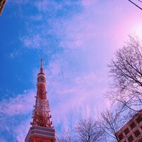 サクラタワー