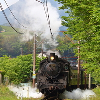 新緑の大井川鐵道⑪