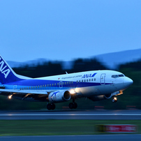 Dolphin Landing in Twilight