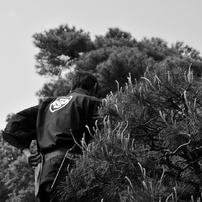 庭師　（YOK）