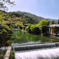 PANASONIC(パナソニック)のデジタルカメラLUMIX DMC-SZ10 で撮影した