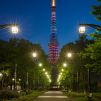 東京タワーの写真 画像 写真集 写真共有サイト Photohito