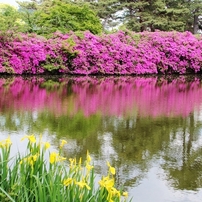 団塊親父の写真館その１