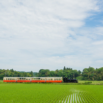 のんびり小湊鉄道