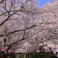 SONY(ソニー)のデジタルカメラサイバーショット DSC-W7 で撮影した写真