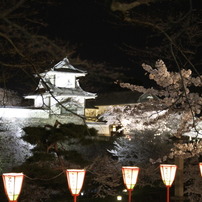 2010　兼六園　桜