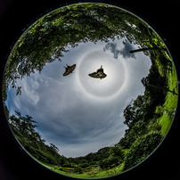 SIGMA(シグマ)のレンズ 8mm F3.5 EX DG CIRCULAR FISHEYE (ﾆｺﾝ用) で