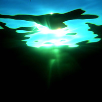 海の造詣