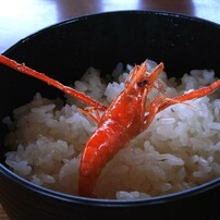 香川・高知・愛媛旅行Ｈ２２．５．１２～１５