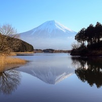 田貫湖からの富士