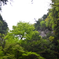 関西の滝