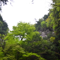 奈良県　　御船の滝