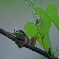 KYOCERA(京セラ)のレンズ Carl Zeiss Vario-Sonnar T* 100-300mm