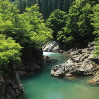 三倉橋の緑