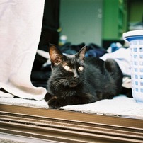 くろねこベリーさん