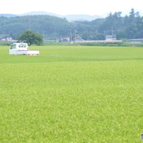 田園-軽トラのある風景