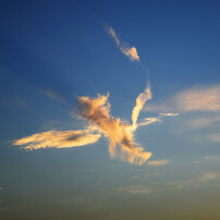 NIKON(ニコン)のレンズ AF-S DX Zoom-Nikkor 18-55mm f/3.5-5.6G ED II