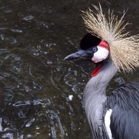 PENTAX(ペンタックス)のデジタルカメラOptio VS20 で撮影した写真(画像