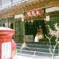 写ルンです