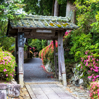 さつき寺の小さな山門（日野町巡りより）