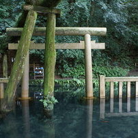 鹿島神宮御手洗池