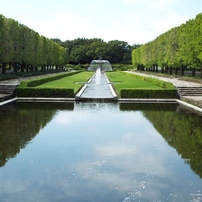 カナール広場の噴水と銀杏