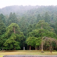 東北紀行