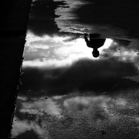 CANON(キヤノン)のデジタルカメラPowerShot Pro1 で撮影した写真(画像