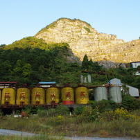 IMGP0297