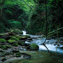 川の写真 画像 写真集 写真共有サイト Photohito